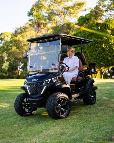 GoCaddy Resort Cart